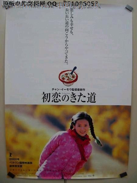 华盛顿与李大学艺术文凭证书